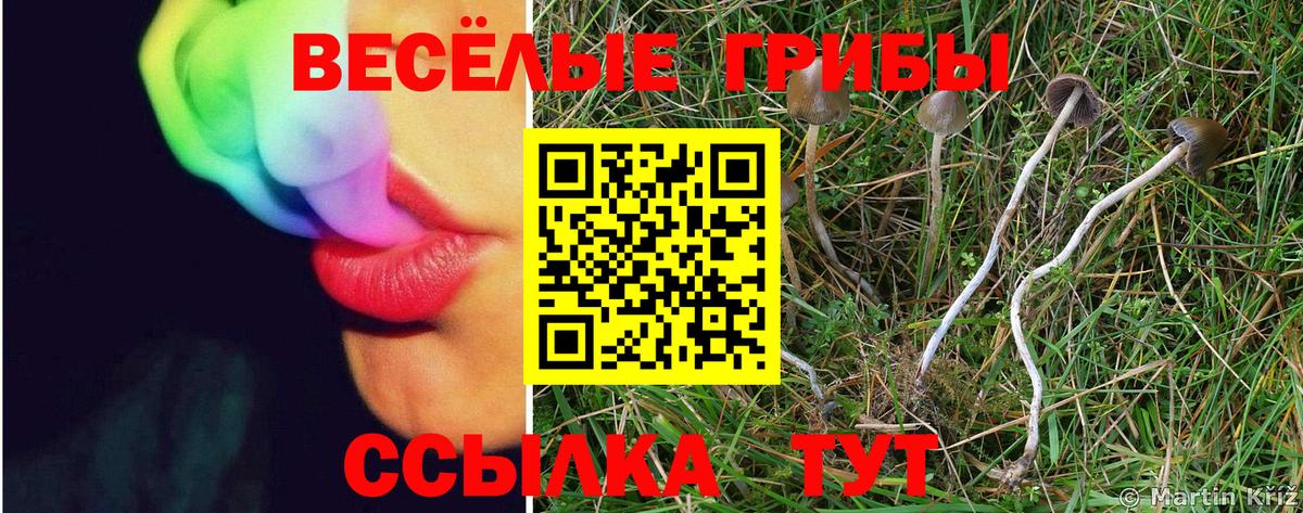Усть-Джегута  Псилоцибиновые грибы MAGIC MUSHROOMS  Вход с VPN  Галлюциногенные грибы Magic Shrooms 